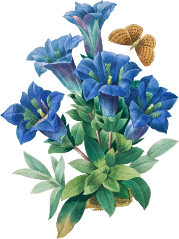 Corporate Gifting & Employee Recognition