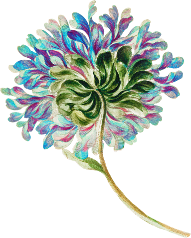 Healthcare & Senior Living Facilities